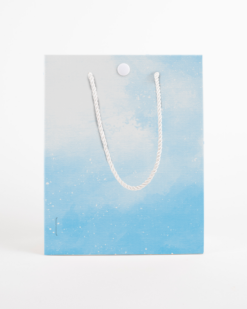 Endless All Occasion Baby Shark Gift Bag