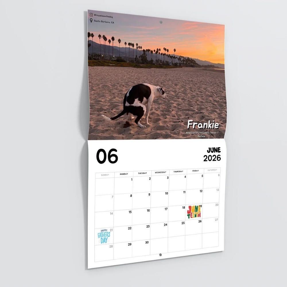 2026 Calendar: Dogs Pooping in Beautiful Places