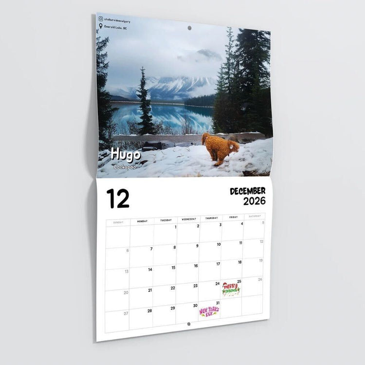 2026 Calendar: Dogs Pooping in Beautiful Places