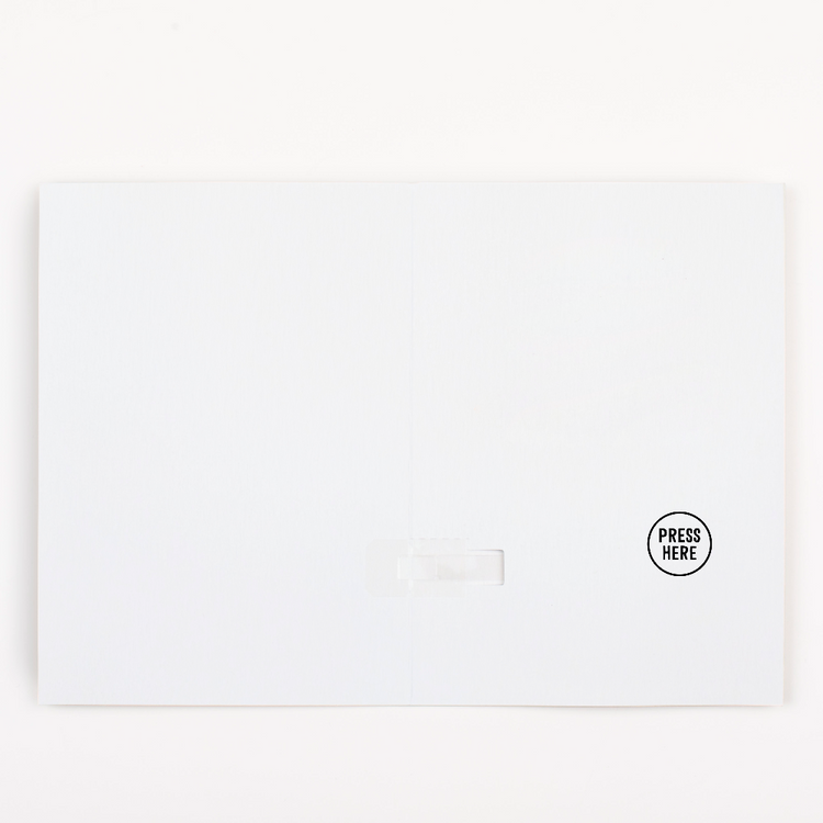 Inside Card with Press Here Button:
Inside view of recordable birthday card showing Press Here button for recording messages and blank white space for personalized birthday wishes