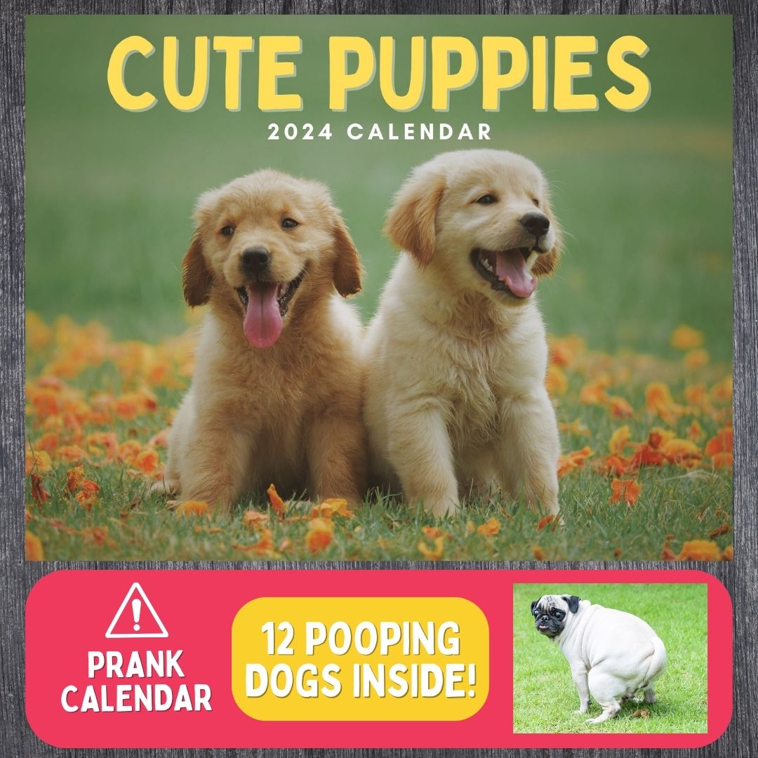 2024-calendar-prank-cute-puppies-pooping-joker-greeting
