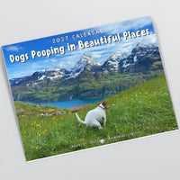 2027 Calendar: Dogs Pooping in Beautiful Places