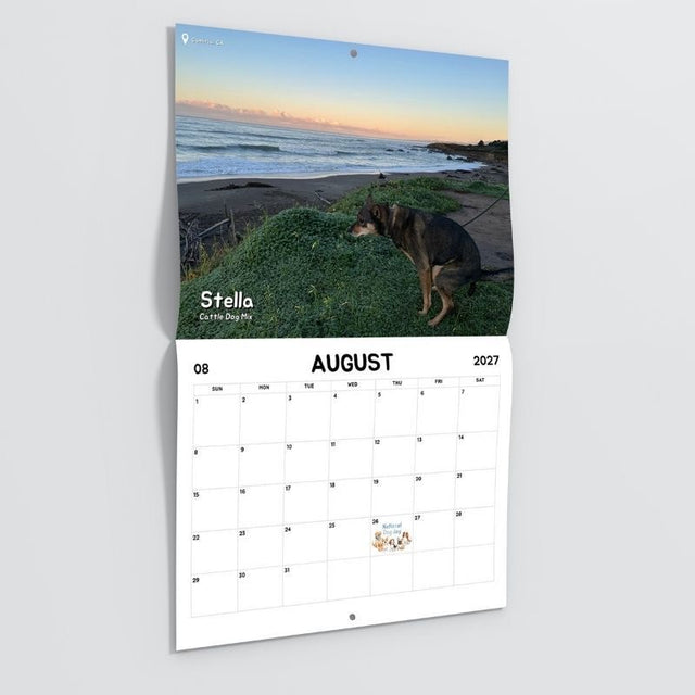 2027 Calendar: Dogs Pooping in Beautiful Places