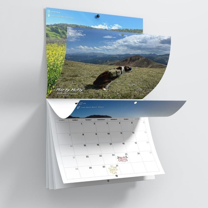 2027 Calendar: Dogs Pooping in Beautiful Places