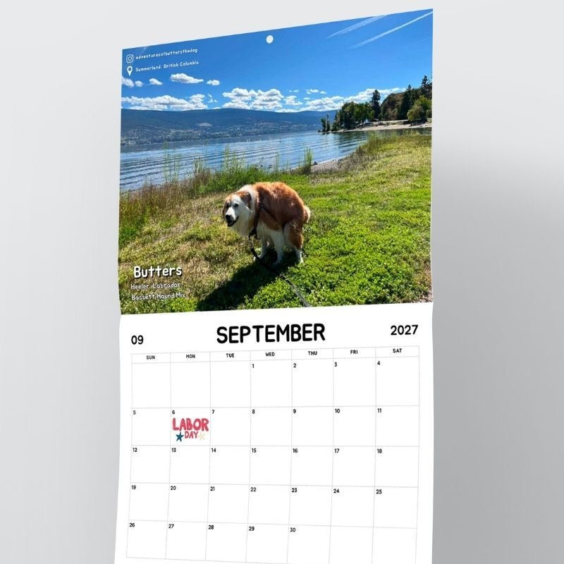 2027 Calendar: Dogs Pooping in Beautiful Places