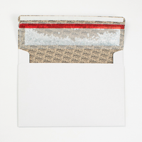 Santa Dog and Glitter Trap Envelope Christmas Bundle