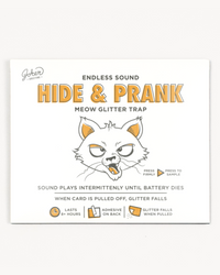 Hide & Prank Meowy Glitter Trap