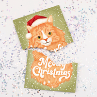 Meowy Christmas and Glitter Trap Envelope Bundle