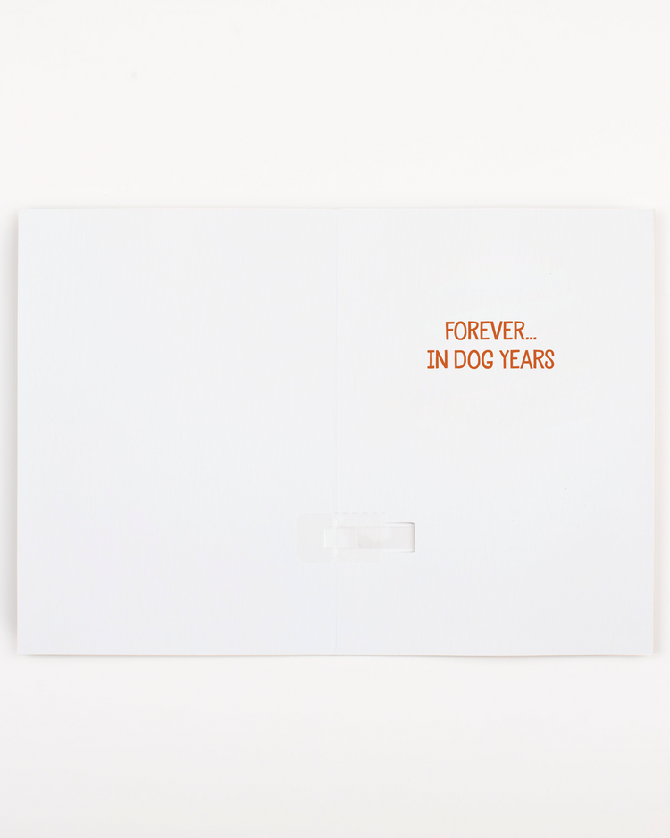 White card with orange text 'FOREVER... IN DOG YEARS' on a white background