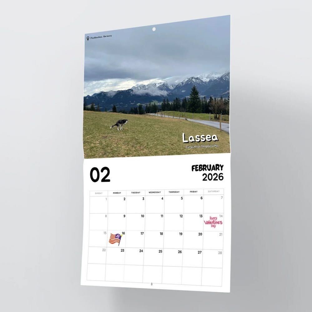 2026 Calendar: Dogs Pooping in Beautiful Places
