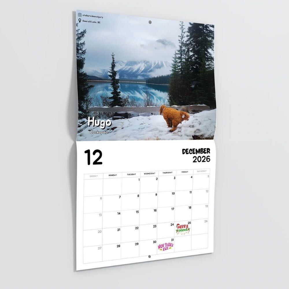2026 Calendar: Dogs Pooping in Beautiful Places