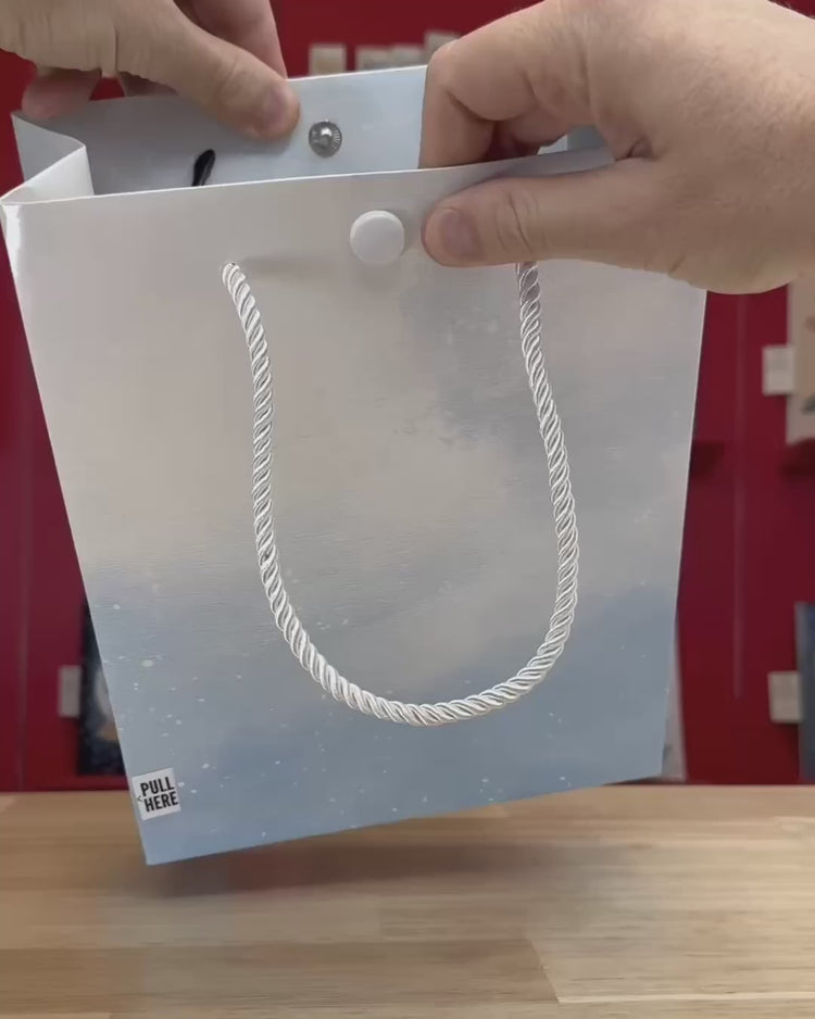 Endless Baby Shark Gift Bag