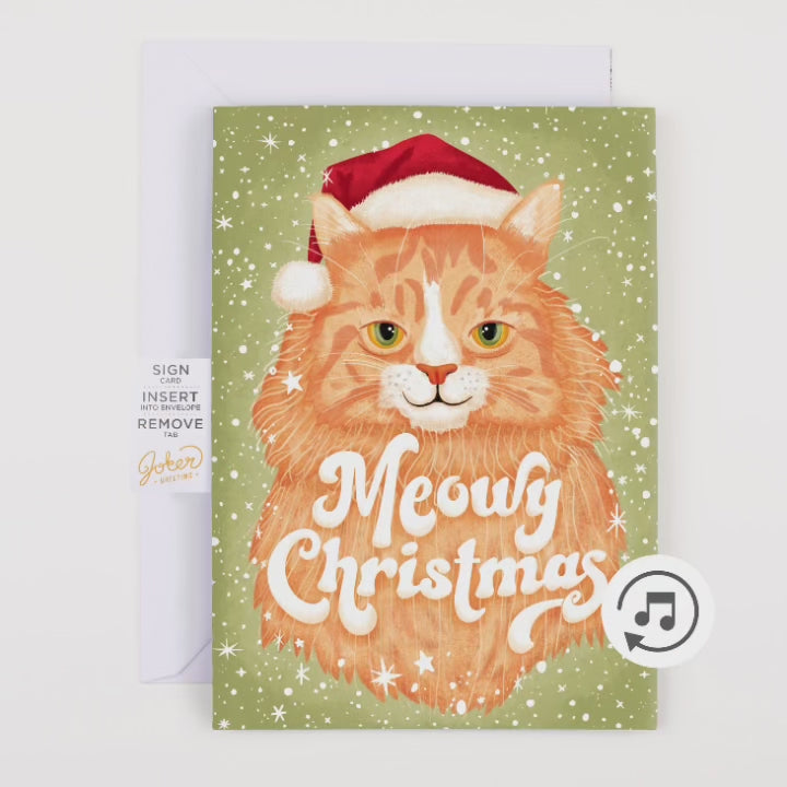 Meowy Christmas Card with Glitter Trap Envelope - Bundle