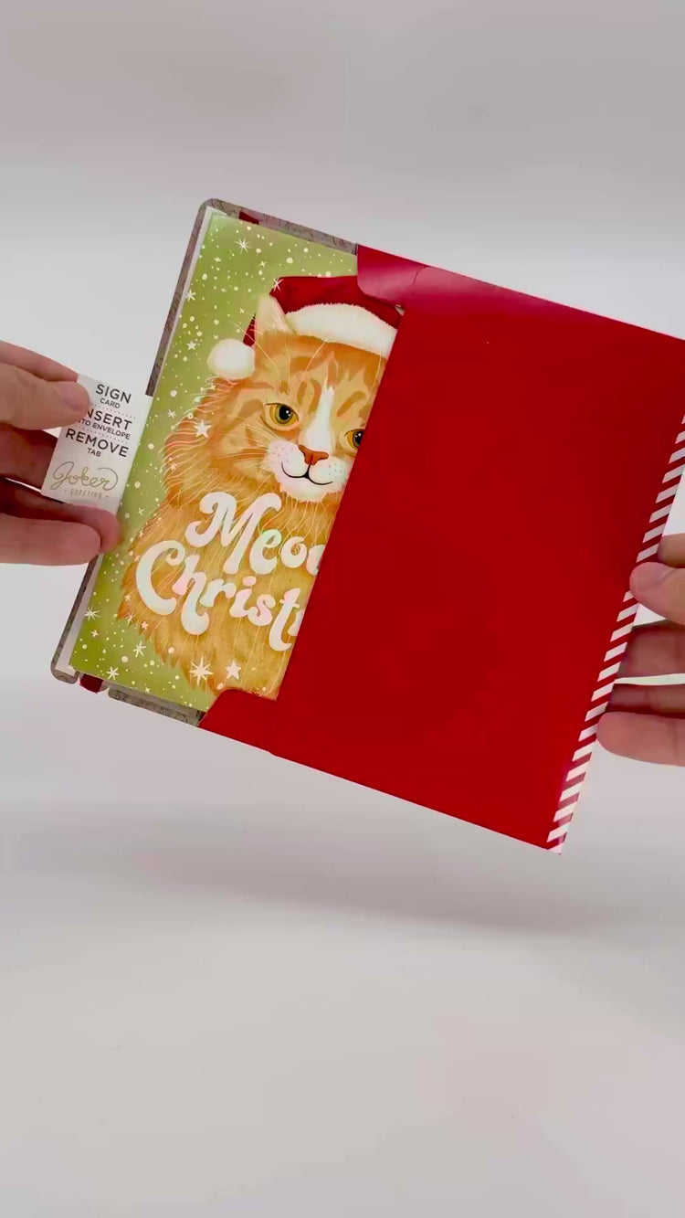 Christmas & Envelope Glitter Bundle
